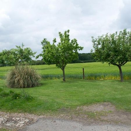 Woodview B Colchester Birch Dış mekan fotoğraf