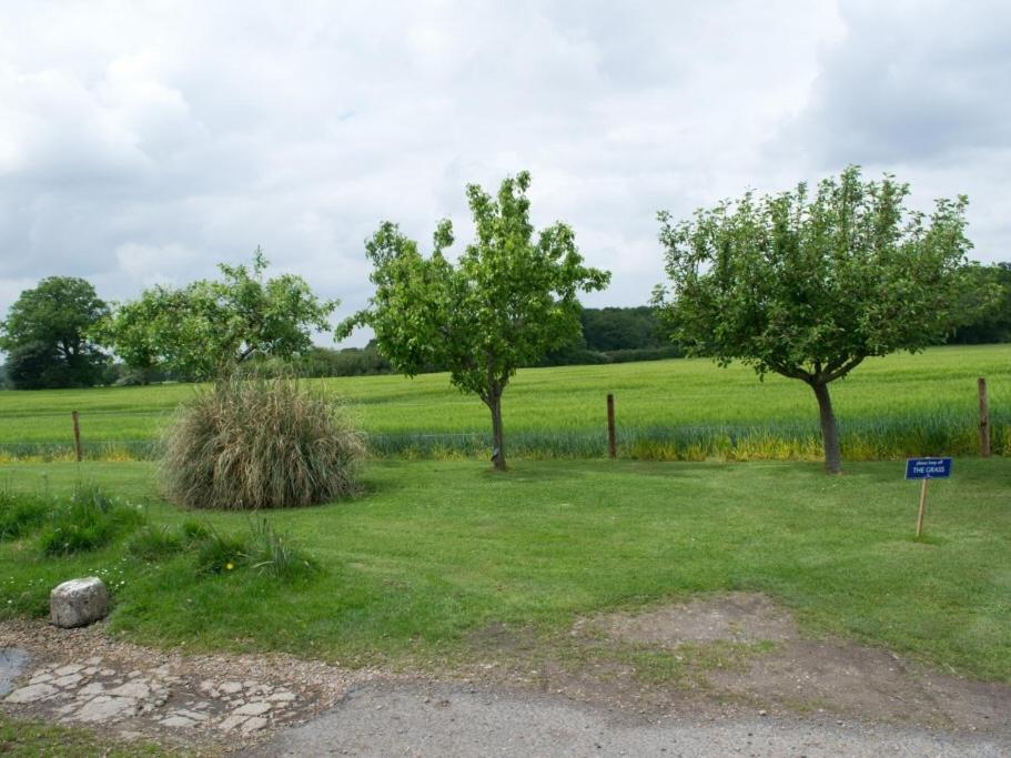 Woodview B Colchester Birch Dış mekan fotoğraf